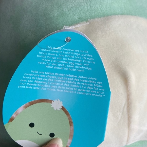 Antoni Turtle Squishmallow - Picture 2 of 3